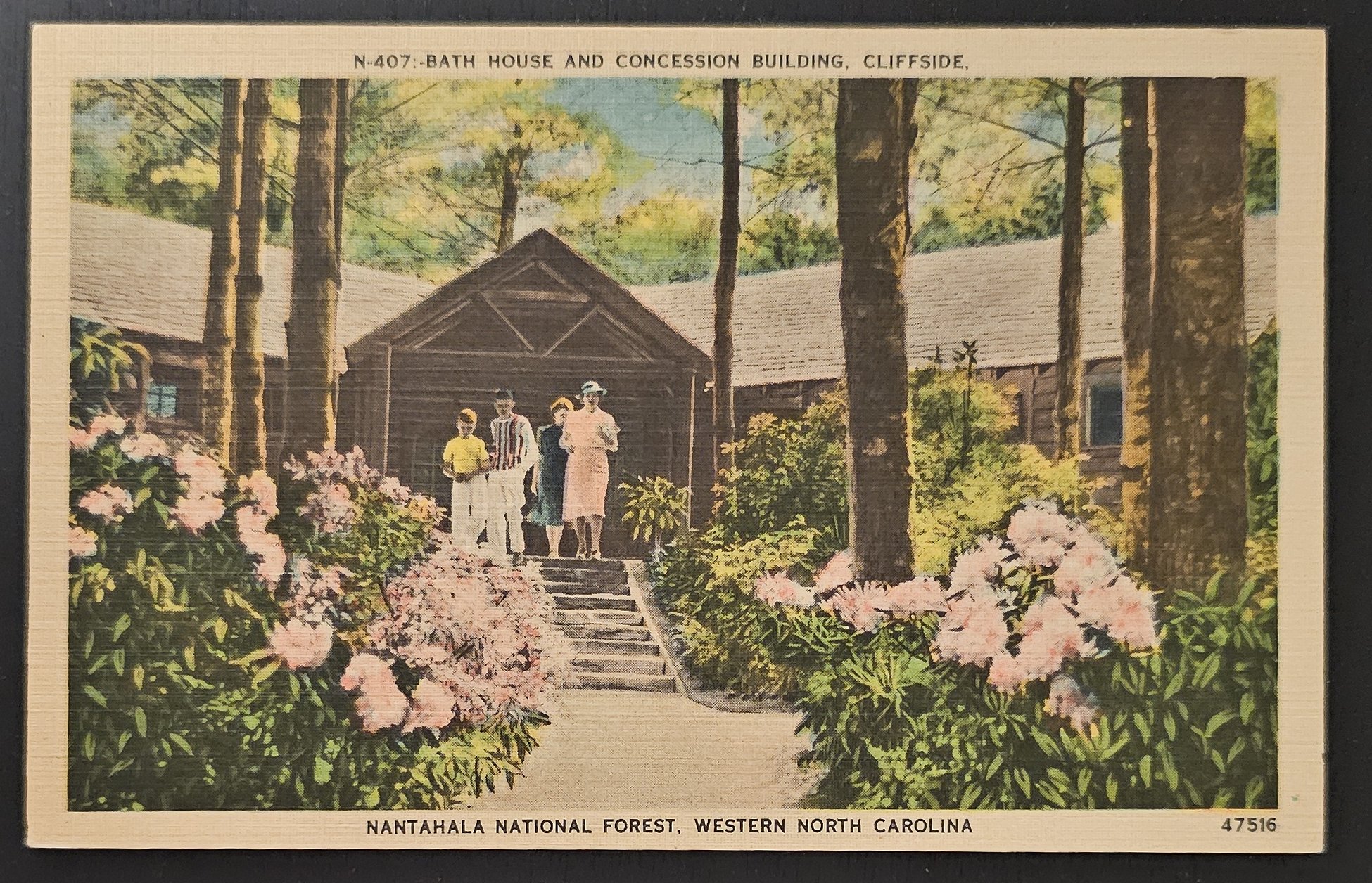 (image for) postcard USA - NC - North Carolina #0026